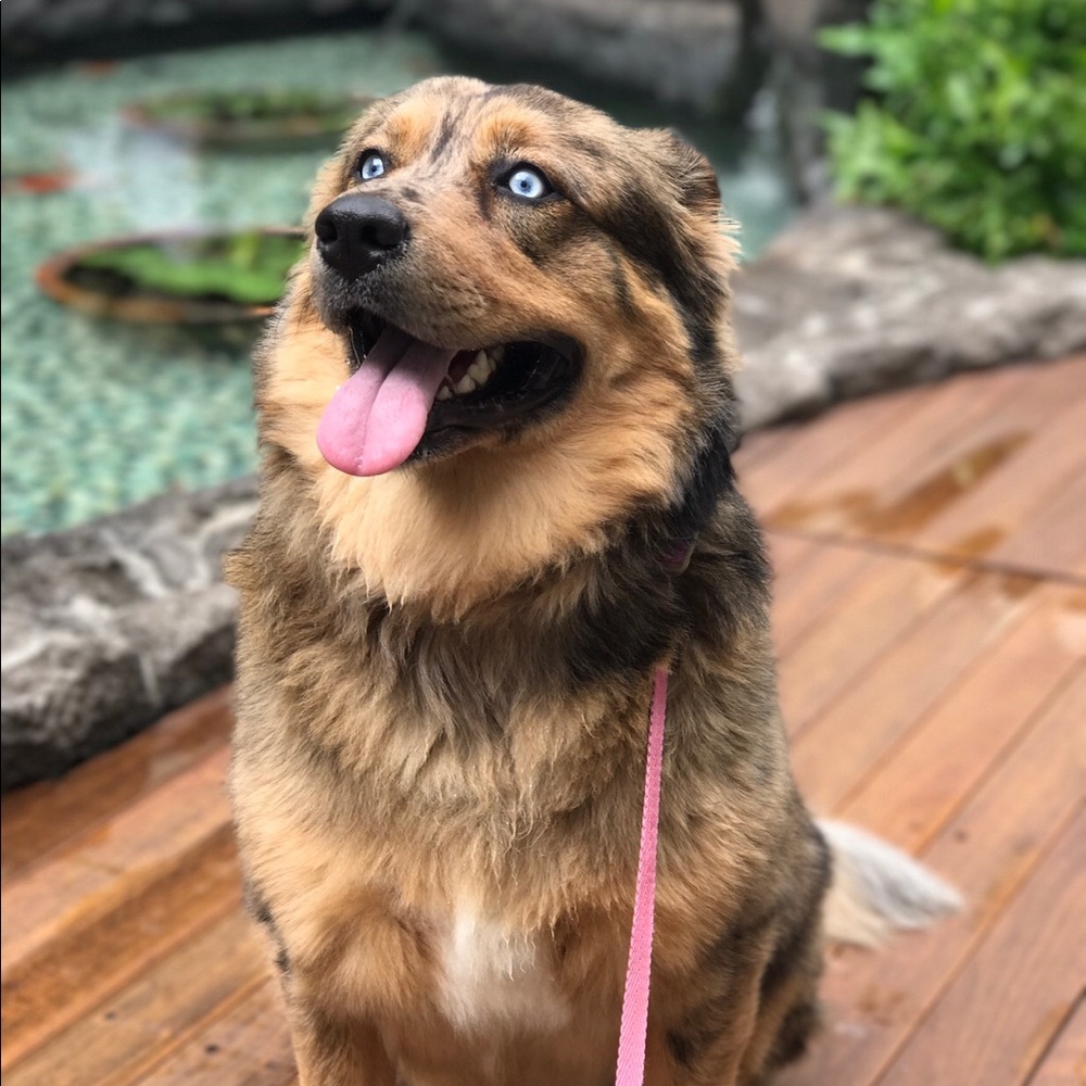 Meet your Posher, Britney